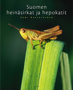 Ligation Moment Useless Suomen heinäsirkat ja hepokatit (Orthoptera)